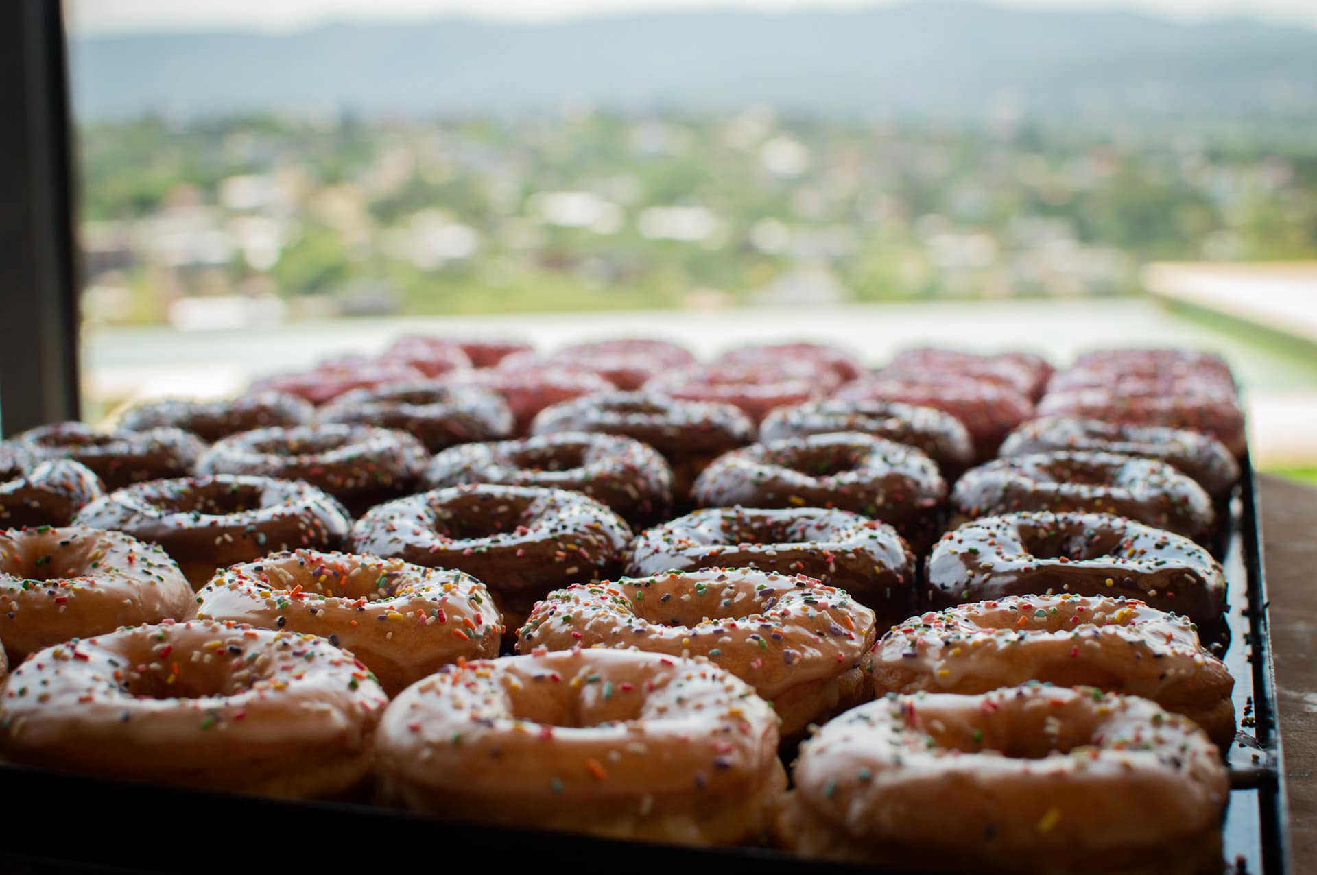 Mike Donas - Foto de Producto