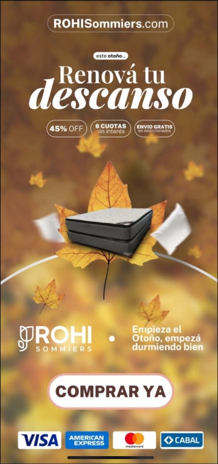 Rohi Sommiers: Branding, Diseño Gráfico, Redes Sociales, Cartelería, Marketing, imagen 8